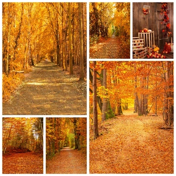 Осенний лес, дерево, Опавшие листья, Фон, Природа, пейзаж, Осенние пейзажи, Фон для фотосъемки, Фотофоны, Студийный реквизит